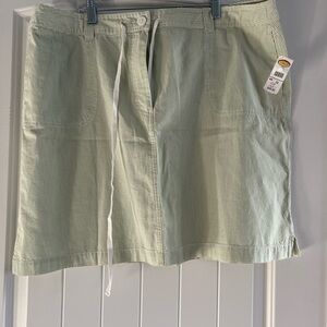 Talbots Light Green Striped Skirt